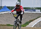 921H8209 bmx-tc-12-9-21